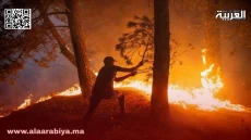 محكمة الاستئناف بالحسيمة تقضي بحبس شخص عامين لإضرام النار في غابة