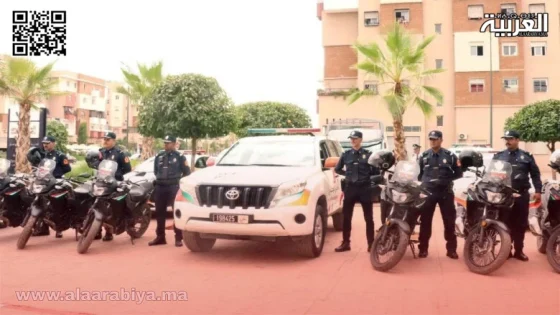 الشرطة بطنجة تُوقِّف شبكة إجرامية دولية للمخدرات