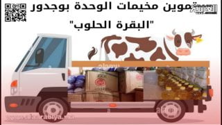 مخيمات الوحدة بوجدور