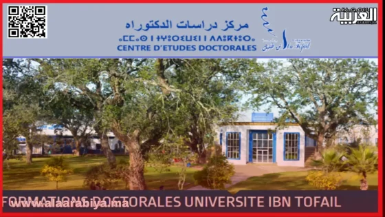رابط التسجيل القبلي بسلك الدكتوراه بجامعة ابن طفيل القنيطرة 2024 2025