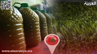 أسعار زيت الزيتون بالمغرب تتجاوز 130 درهمًا للتر وتثير القلق