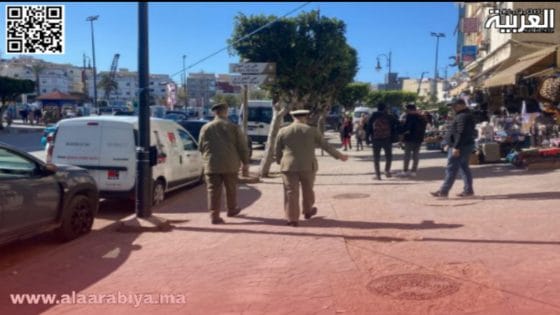 الملك العمومي