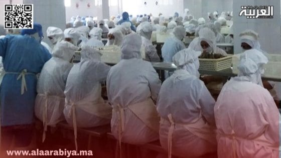 الجمعية المغربية لحقوق الإنسان تطالب بحماية حقوق عمال شركة “سوميا” بمراكش