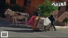 التوعية والتنظيم: مفتاح مواجهة إزعاج الضجيج في أحياء أزلي بمراكش