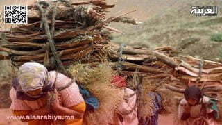 صرخات المواطن المغربي: بين آلام الواقع وآمال العدالة الاجتماعية