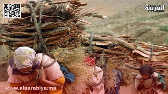 صرخات المواطن المغربي: بين آلام الواقع وآمال العدالة الاجتماعية