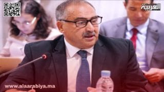 النائب البرلماني عزيز اللبان