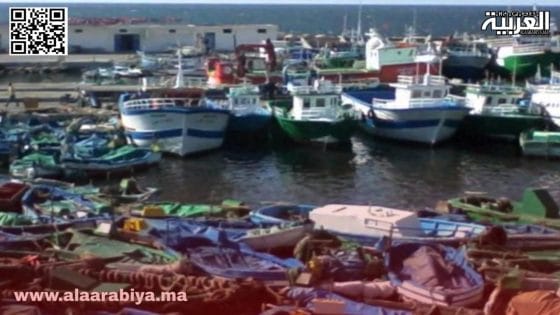 مطالب بفتح تحقيق في السطو وسرقة كمية مهمة من الأسماك بميناء المهدية القنيطرة