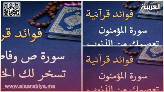 سور القرآن الكريم