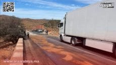 زيوت الأسماك