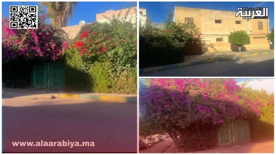 مستشارة جماعية تحتل الملك العام