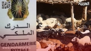 الدرك الملكي بالخميسات يفكك عصابة “الفراقشية”