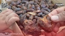 إنزكان: حجز حوالي أربعة أطنان من المواد الغذائية الفاسدة واعتقال تاجر ثانٍ