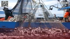 بوجدور صيد سمك الكوربين