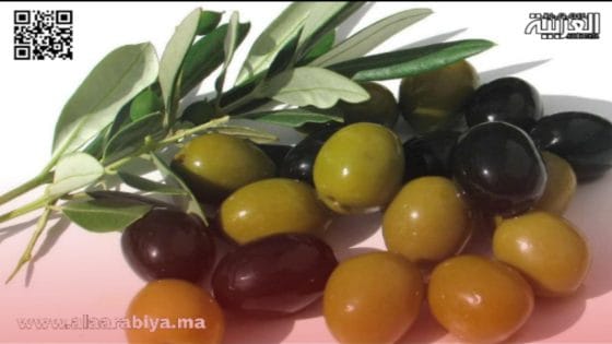 نشاط ملحوظ في سوق الزيتون بوزان وارتفاع في الأسعار