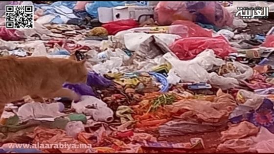 الرماني: انتشار الأزبال يسائل مجلس الجماعة ومطالب بحل أزمة “ملف النظافة”