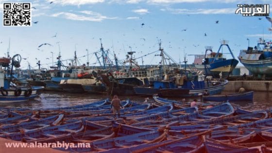 أين نحن من الحكامة والشفافية بميناء بوجدور؟