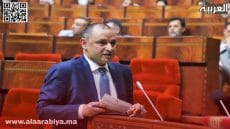 وزير التجارة: “الروشارج” ترفع مداخيل “مول الحانوت”