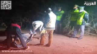 أمن تيفلت يطيح بمبحوت عنه في قضية جريمة قتل ويحيله على مصالح الدرك الملكي