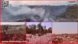 عامل إقليم الخميسات عبد اللطيف النحلي يبدأ في”إنقاذ” ساكنة تيفلت والضواحي
	