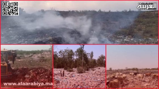 عامل إقليم الخميسات عبد اللطيف النحلي يبدأ في”إنقاذ” ساكنة تيفلت والضواحي