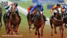 مداهمة أمنية في مراكش تفضح تنظيم رهانات غير قانونية على سباق الخيول