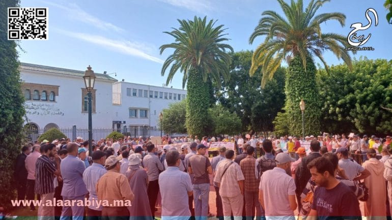 دكاترة التربية الوطنية “الإتلاف الوطني” ينظمون إضرابا وطنيا احتجاجا على الجمود في ملفهم