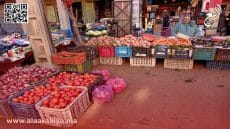 ارتفاع الخضر في سويقة تاشفين