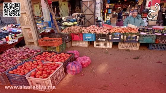 ارتفاع الخضر في سويقة تاشفين