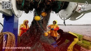 الصيد البحري