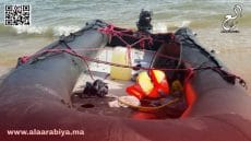 الهجرة الساحلية