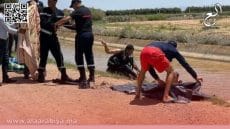 حادثة مأساوية