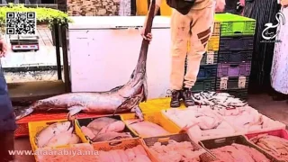 دعوة لمناظرة علنية بين تجار السمك وعبد الإله الجابوني لتسليط الضوء على أزمة الأسعار
	