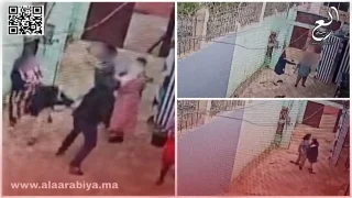 قضية العوامرة