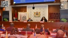 البرلمانات الإفريقية