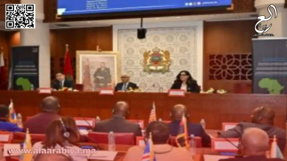 البرلمانات الإفريقية