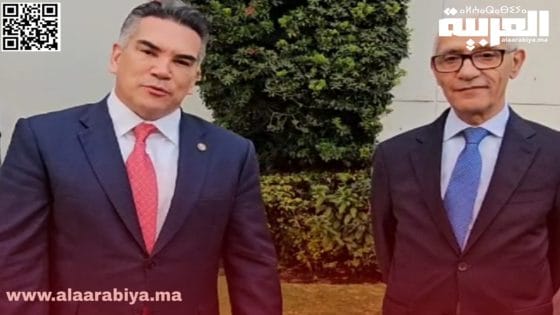الحزب الثوري المؤسساتي