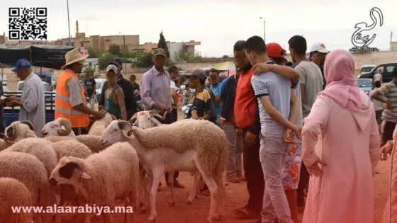 أزمة الأضحية