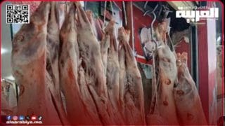 طاطا خارج التغطية: متى تستفيق الجهات المختصة لكبح فوضى أسعار اللحوم؟
	