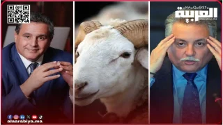 فضيحة دعم استيراد الماشية