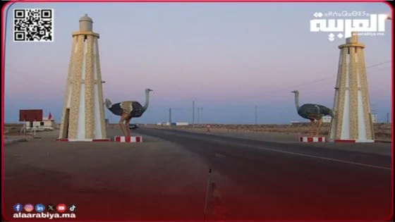 الماحيا