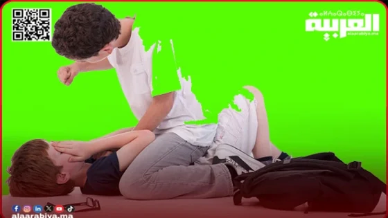 العنف-المدرسي