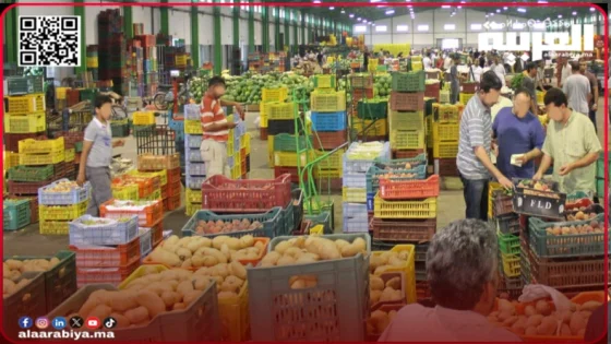 سوق-الجملة-بالدار-البيضاء