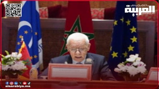 الطالبي العلمي يترأس وفداً برلمانياً هاماً في قمة الاتحاد من أجل المتوسط بمالقة