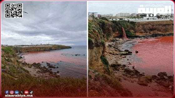 تحول مياه شاطئ العرائش إلى اللون الأحمر يثير المخاوف.. والجهات المسؤولة تلتزم الصمت!