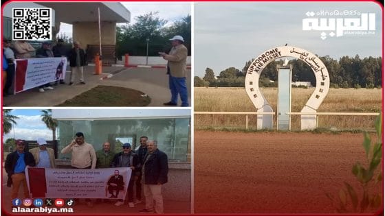 ملاكو الخيول بالخميسات يحتجون ويطالبون بافتحاص مالي وإداري لجمعيتهم