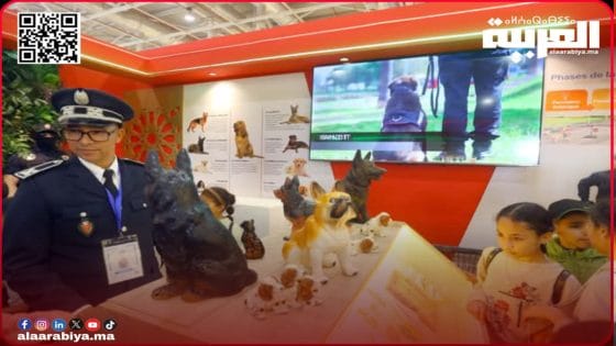 الشرطة السينوتقنية تقتفي آثار المختفين والمفقودين بالسلالة الجديدة لكلاب “سان إيبير”