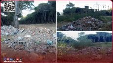 غابة لايبيكا