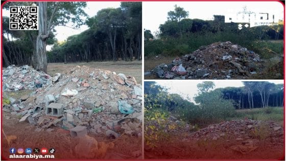 غابة لايبيكا