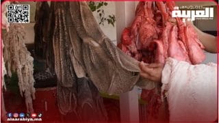 اللهفة على “الدوارة” و”الكبدة” تلهب الأسعار رغم نداء ملكي بتفادي الذبح
	